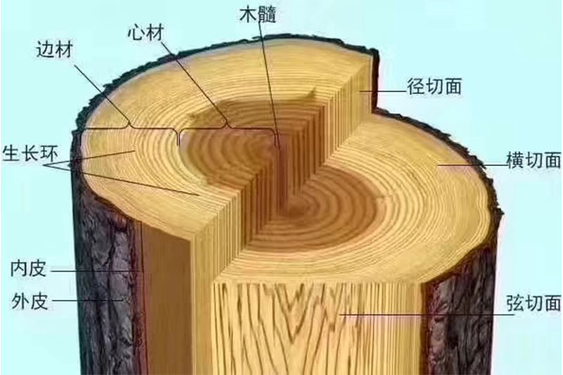 木材結(jié)構(gòu)